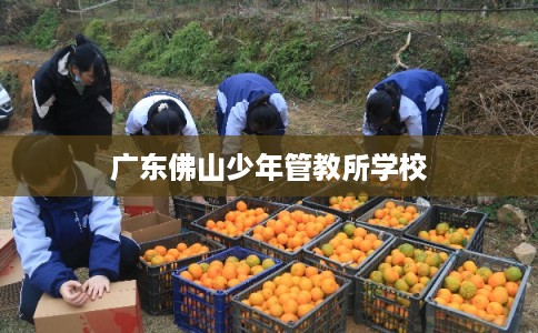 广东佛山少年管教所学校