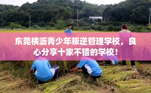 东莞横沥青少年叛逆管理学校，良心分享十家不错的学校！