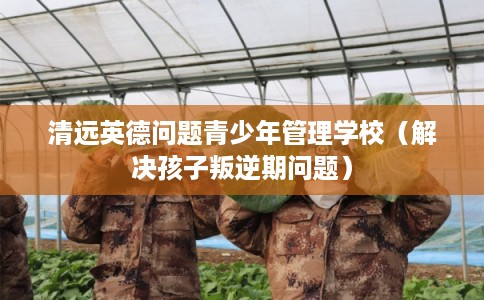 清远英德问题青少年管理学校（解决孩子叛逆期问题）