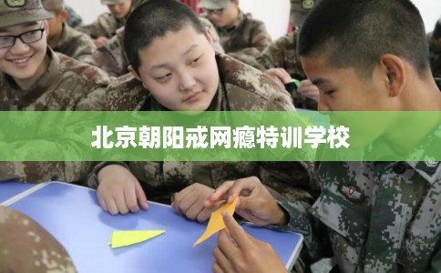 北京朝阳戒网瘾特训学校