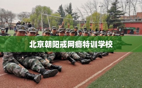 北京朝阳戒网瘾特训学校