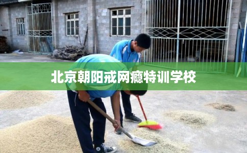 北京朝阳戒网瘾特训学校