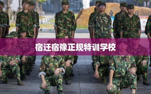 宿迁宿豫正规特训学校