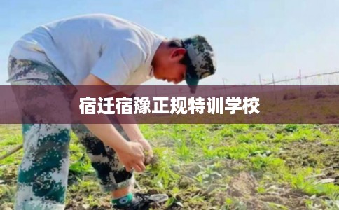 宿迁宿豫正规特训学校