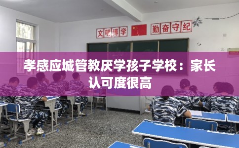 孝感应城管教厌学孩子学校：家长认可度很高