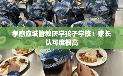 孝感应城管教厌学孩子学校：家长认可度很高