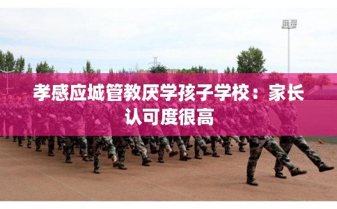 孝感应城管教厌学孩子学校：家长认可度很高