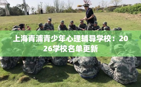 上海青浦青少年心理辅导学校：2026学校名单更新