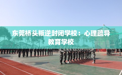 东莞桥头叛逆封闭学校：心理疏导教育学校