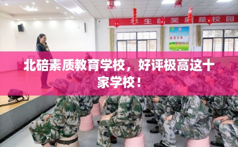 北碚素质教育学校，好评极高这十家学校！