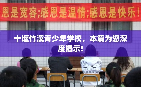 十堰竹溪青少年学校，本篇为您深度揭示!
