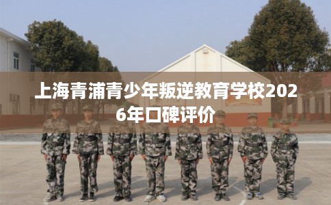 上海青浦青少年叛逆教育学校2026年口碑评价