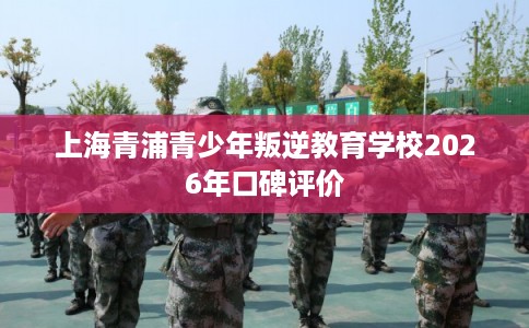 上海青浦青少年叛逆教育学校2026年口碑评价
