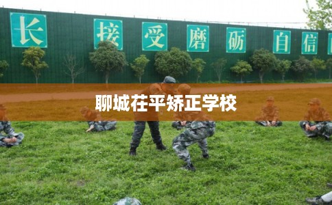 聊城茌平矫正学校