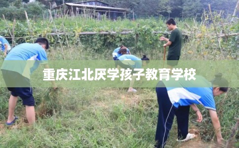 重庆江北厌学孩子教育学校
