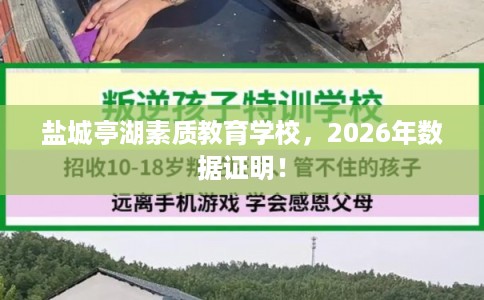 盐城亭湖素质教育学校，2026年数据证明！