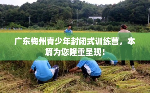 广东梅州青少年封闭式训练营，本篇为您隆重呈现！