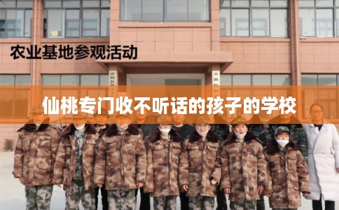 仙桃专门收不听话的孩子的学校