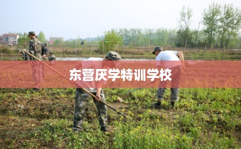 东营厌学特训学校