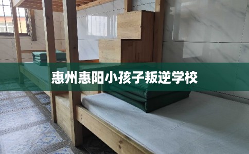 惠州惠阳小孩子叛逆学校