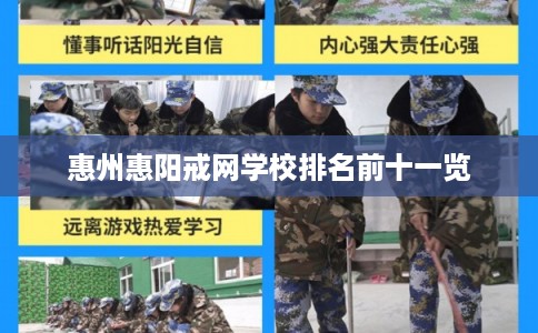 惠州惠阳戒网学校排名前十一览