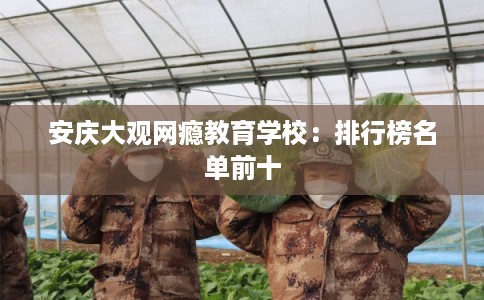 安庆大观网瘾教育学校：排行榜名单前十