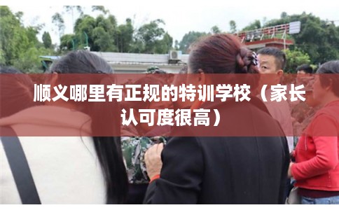 顺义哪里有正规的特训学校（家长认可度很高）