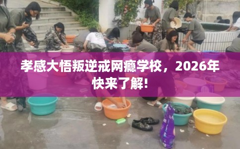 孝感大悟叛逆戒网瘾学校，2026年快来了解!