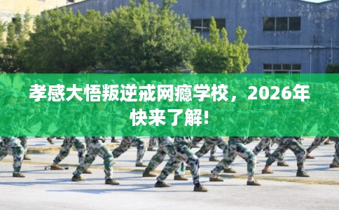 孝感大悟叛逆戒网瘾学校，2026年快来了解!