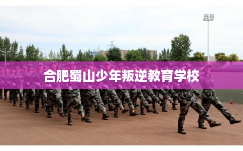 合肥蜀山少年叛逆教育学校