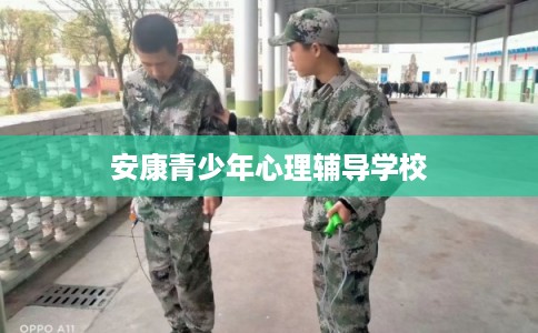 安康青少年心理辅导学校