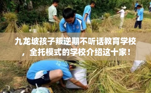 九龙坡孩子叛逆期不听话教育学校，全托模式的学校介绍这十家！