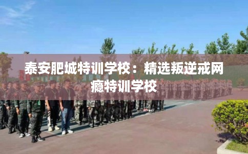 泰安肥城特训学校：精选叛逆戒网瘾特训学校