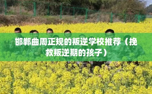 邯郸曲周正规的叛逆学校推荐（挽救叛逆期的孩子）