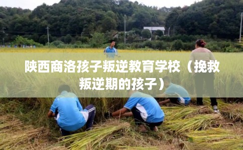 陕西商洛孩子叛逆教育学校（挽救叛逆期的孩子）