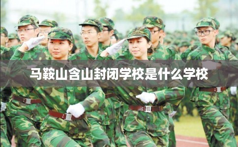 马鞍山含山封闭学校是什么学校