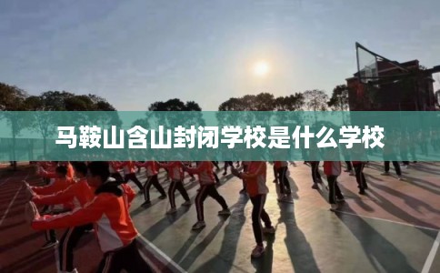 马鞍山含山封闭学校是什么学校