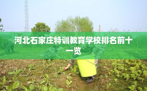 河北石家庄特训教育学校排名前十一览