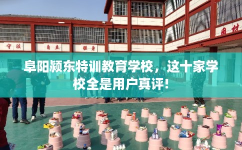 阜阳颍东特训教育学校，这十家学校全是用户真评!
