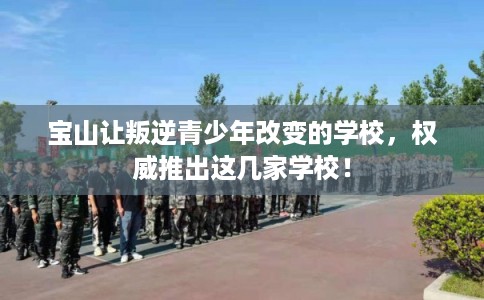 宝山让叛逆青少年改变的学校，权威推出这几家学校！