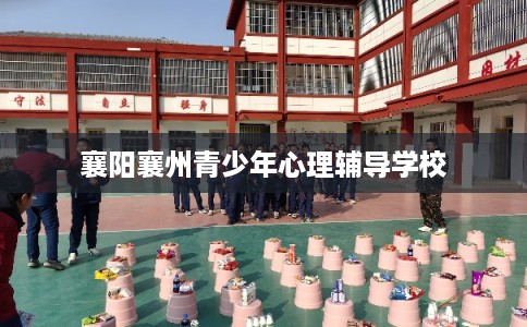 襄阳襄州青少年心理辅导学校