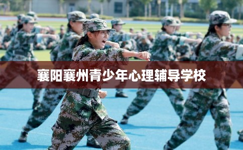 襄阳襄州青少年心理辅导学校