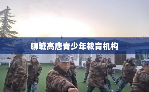 聊城高唐青少年教育机构