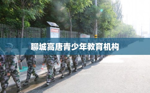 聊城高唐青少年教育机构