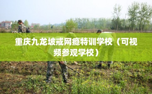 重庆九龙坡戒网瘾特训学校（可视频参观学校）