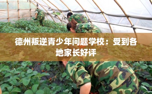德州叛逆青少年问题学校：受到各地家长好评