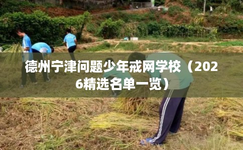 德州宁津问题少年戒网学校（2026精选名单一览）