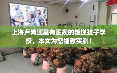 上海卢湾哪里有正规的叛逆孩子学校，本文为您细致实测！