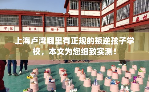 上海卢湾哪里有正规的叛逆孩子学校，本文为您细致实测！