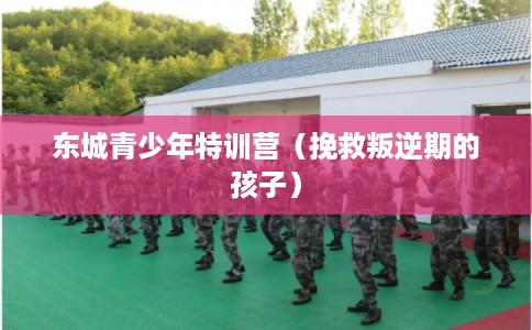 东城青少年特训营（挽救叛逆期的孩子）